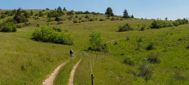 12: 170526111157naamloos-Pano<br>We zijn nu op de hoogvlakte, de Causse de Meijean.