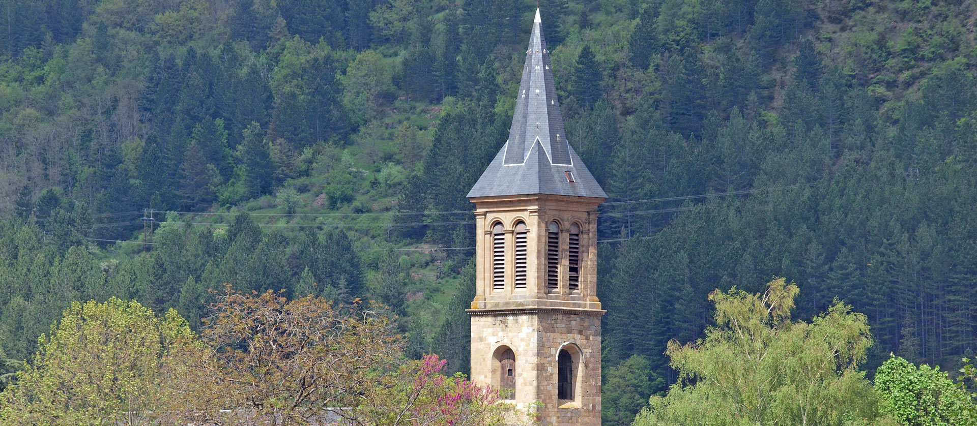 Klik om de knoppen te tonen of te verbergen