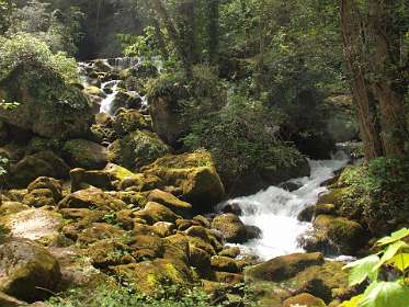 5: P5128017<br>Pêcher bron van le Vibron