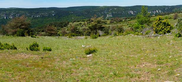 20: 170521121535Bruel-Pano<br>Op de Causse Méjean