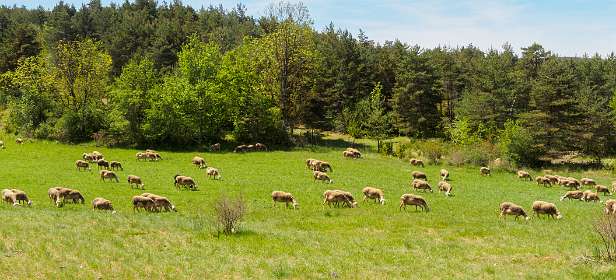 21: 170521122548Bruel-Pano