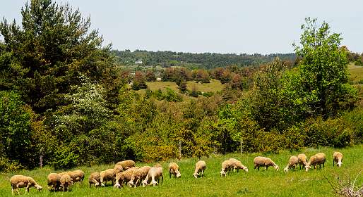 22: 170521122703Bruel