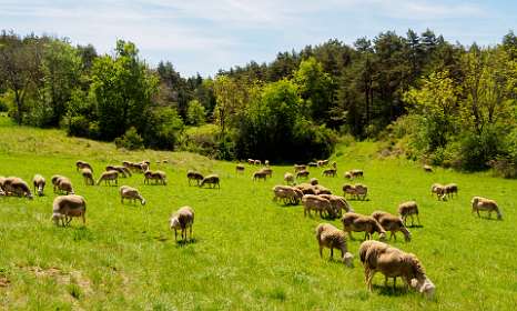 23: 170521122721Bruel