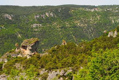 24: 170521123205Bruel<br>Het geplande pad ging naar die rots, maar we konden het pad niet vinden en zijn daarom omgekeerd