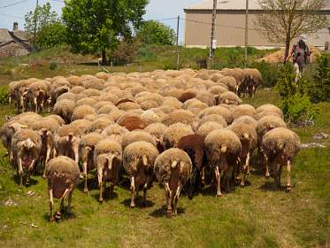 26: 170521131853Bruel