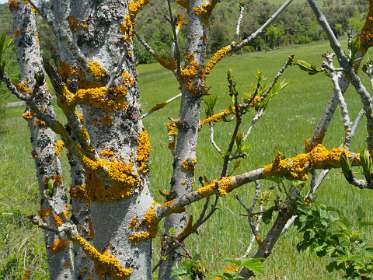 27: 170521133917Bruel