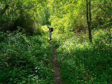 14: 170516115721Florac<br>Het pad omhoog