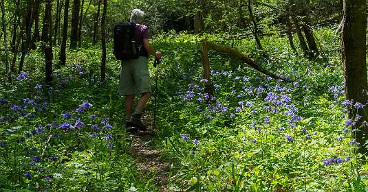 16: 170516120636Florac<br>Akkeleien