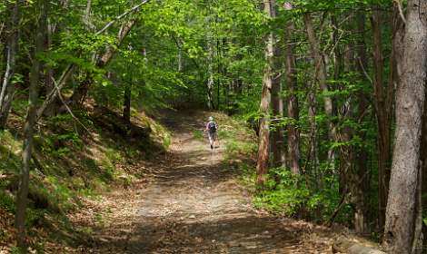 20: 170516123838Florac