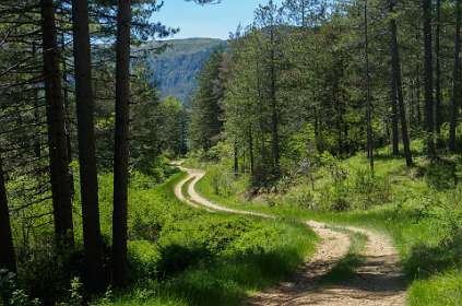 23: 170516134748Florac