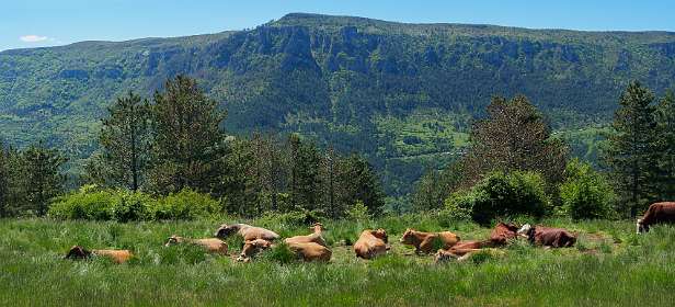 25: 170516135835Florac-Pano