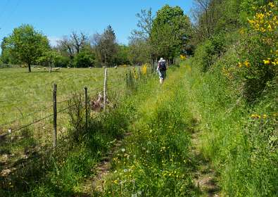 32: 170516143409Florac