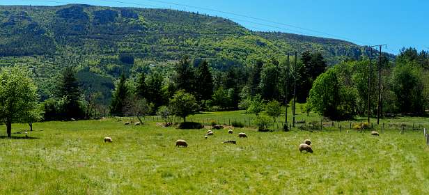 33: 170516143658Florac-Pano