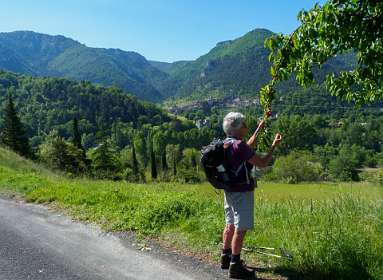 3: 170524102729Liaucous<br>Kersen plukken!