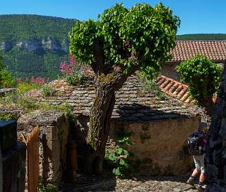 12: 170524112209Liaucous