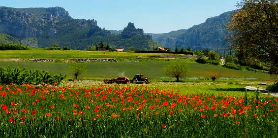 26: 170524130333Liaucous