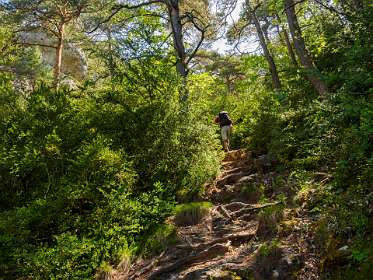 8: 170523115507Michel