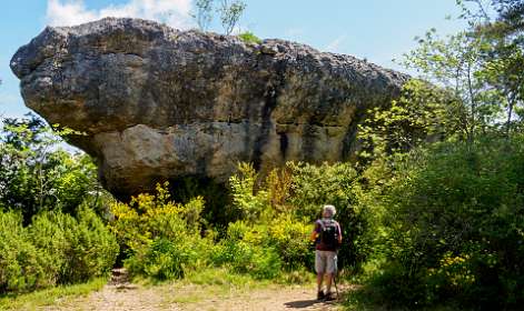 10: 170523122928Michel