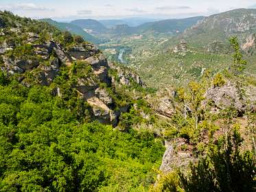 13: 170523125151Michel