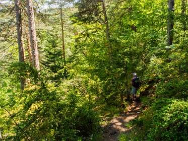 20: 170523135212Michel