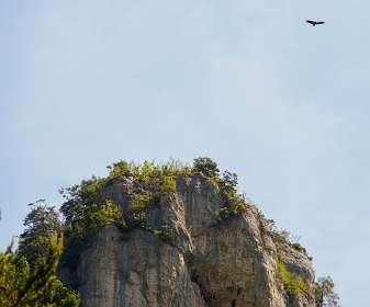 27: 170523153214Michel