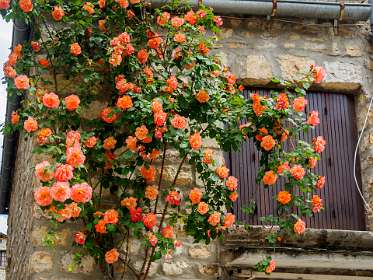 24: 170518140607Sainte-Enimie