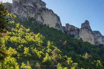 Van Les Vignes naar de Causse Méjean