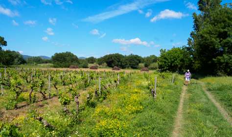 2: Grimaud (11 van 77)