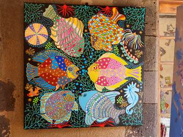 5: Grimaud (16 van 77)