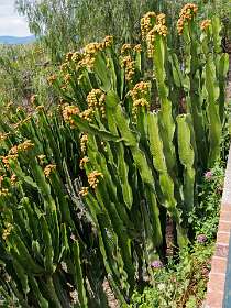 21: Grimaud (55 van 77)