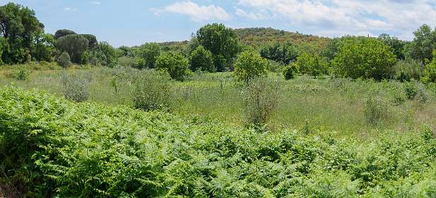 25: Grimaud (61 van 77)-Pano