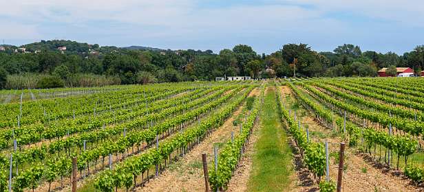 27: Grimaud (66 van 77)-Pano