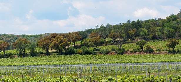 28: Grimaud (73 van 77)-Pano