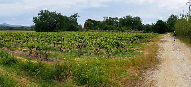 1: PortGrimaud (1 van 22)-Pano