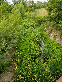 2: PortGrimaud (4 van 22)