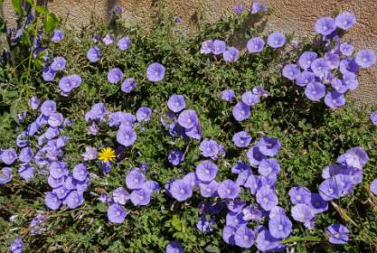 10: 190513-111032_Giens<br>Winde