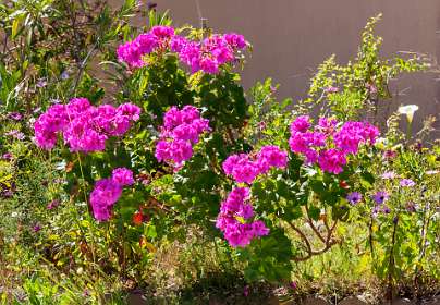 12: 190513-113451_Giens