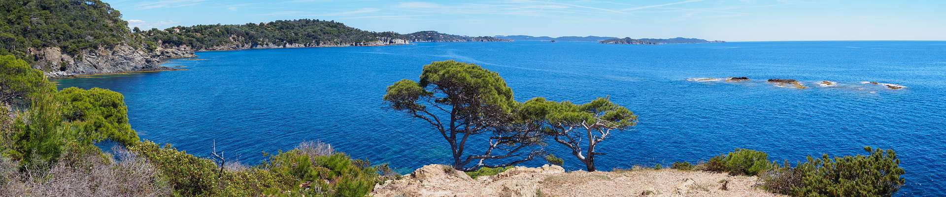 Klik om de knoppen te tonen of te verbergen