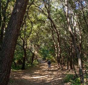 25: AchterDeCamping (1 van 18)