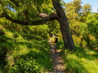 12: 19050530-3012111122_Agay-HDR