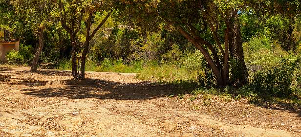 14: 19050530-3012313115_Agay-HDR-Pano<br>Lunch