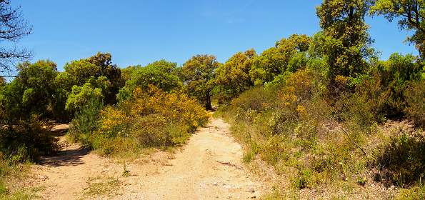 15: 19050530-3012333323_Agay-Pano