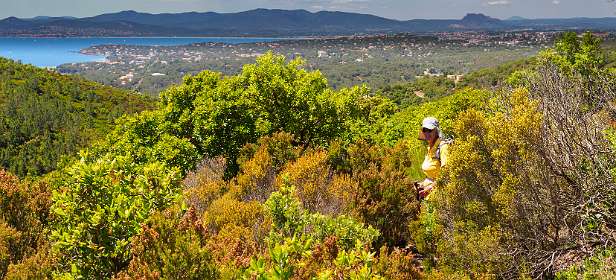 20: 19050530-3013272712_Agay-Pano<br>St Rafael en de kust voor St Maxime