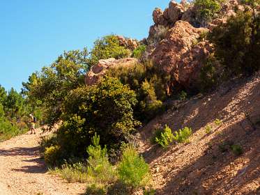 2: 19050531-3110464659_Esterel