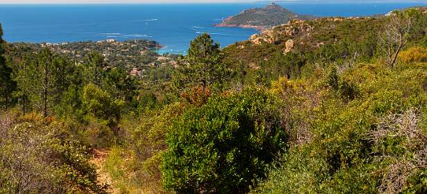 3: 19050531-3110535313_Esterel-Pano