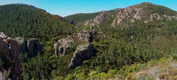 11: 19050531-3111282819_Esterel-Pano