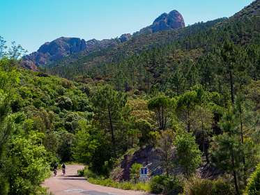 12: 19050531-3111474721_Esterel<br>Rechts Pic de lÓurs