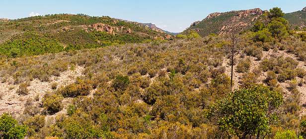 14: 19050531-3111545410_Esterel-Pano
