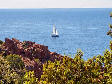 5: 19050529-2910111144_RondLeDramont