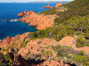 11: 19050529-2910212117_RondLeDramont